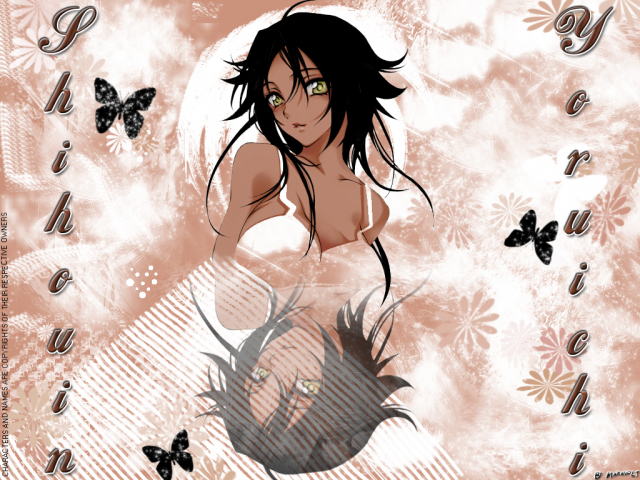 shihouin yoruichi