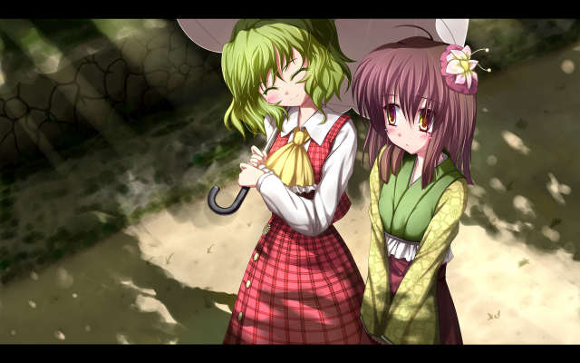 hieda no akyuu+kazami yuuka