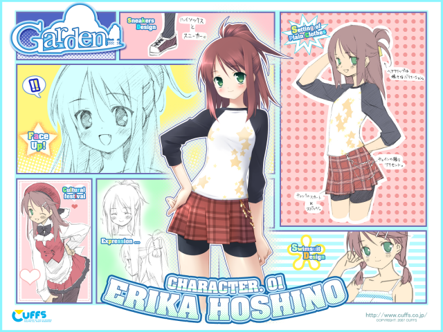 hoshino erika