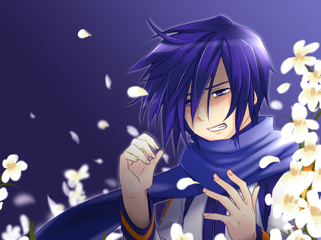 kaito