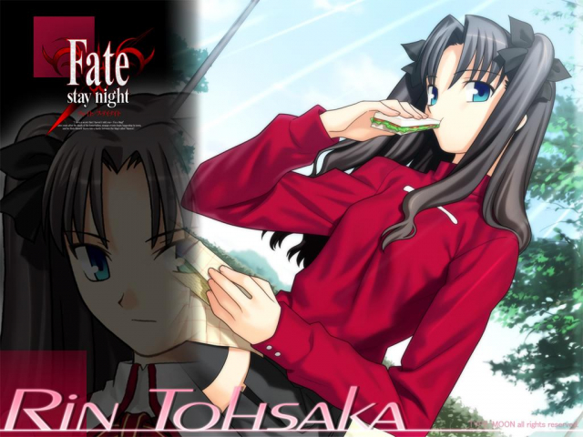 tohsaka rin+toosaka rin