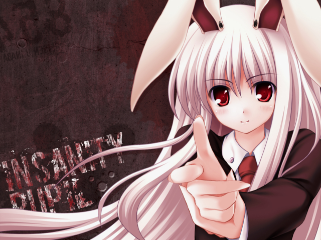 reisen udongein inaba