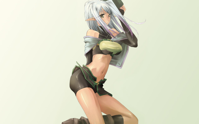 hunter+hunter (ragnarok online)