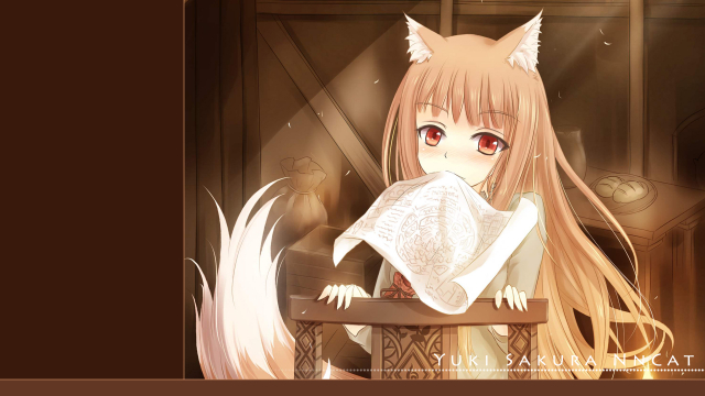 holo