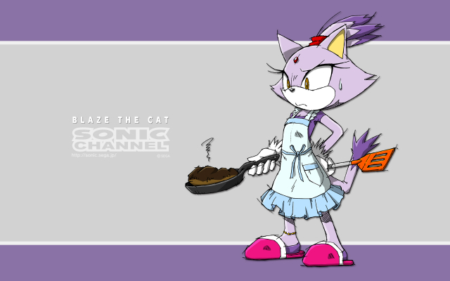 blaze the cat