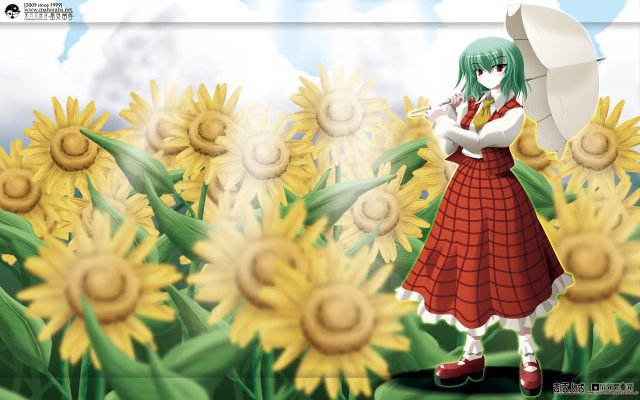 kazami yuuka