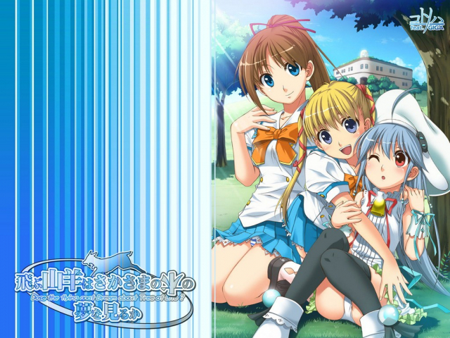 eiru+kimikawa mina+kouno nanoha