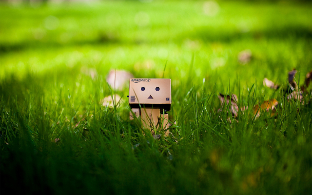danbo