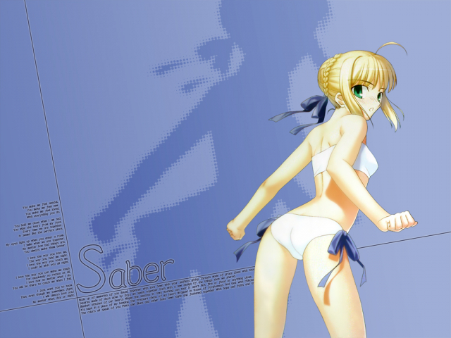 artoria pendragon (all)+saber