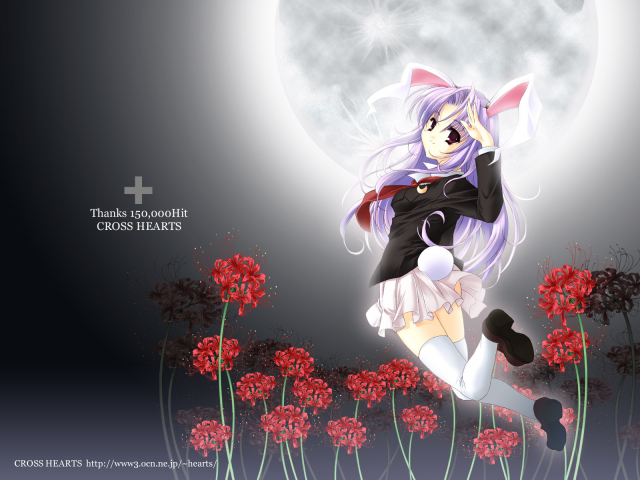 reisen udongein inaba